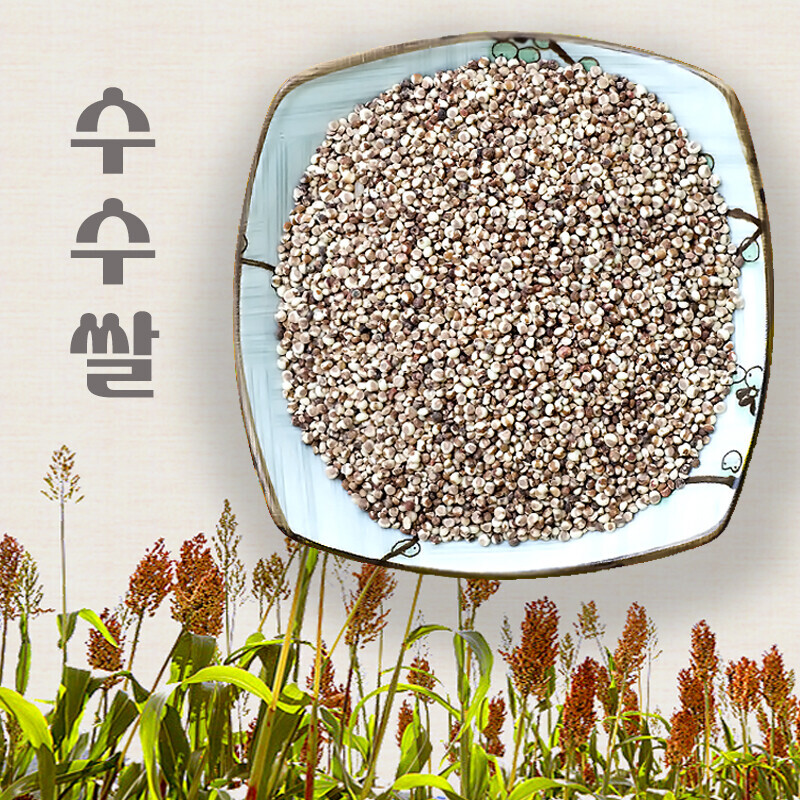 강원 뻥이오뻥농산물/기타 잡곡찰수수/수수잡곡 국내산500g/1kg  