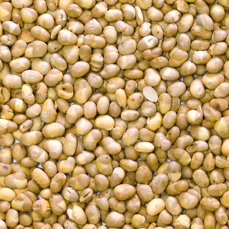 강원 뻥이오뻥콩튀밥류백태 뻥튀기/왕콩튀밥 1kg국내산 1kg  