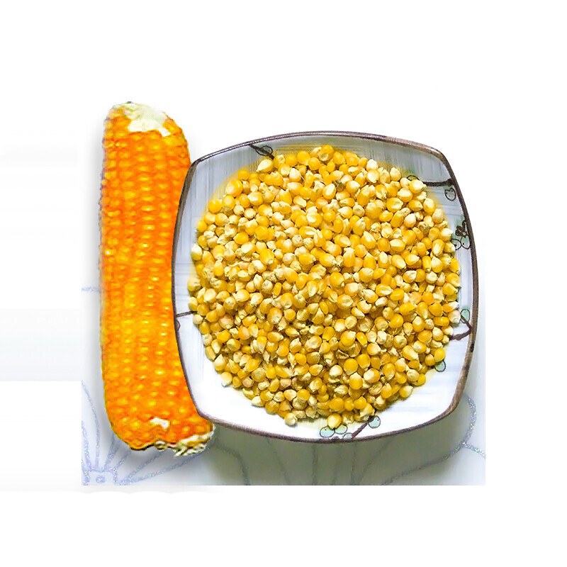 강원 뻥이오뻥 강냉이튀밥류쥐강냉이뻥튀기/팝콘옥수수튀밥강원도 강냉이 1kg  