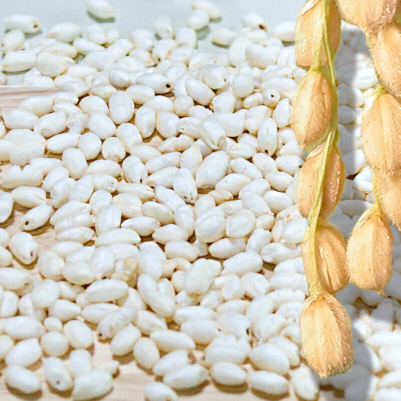 강원 뻥이오뻥쌀튀밥류국산 쌀뻥튀기/쌀튀밥 아기과자 간식국내산 1kg 2kg  