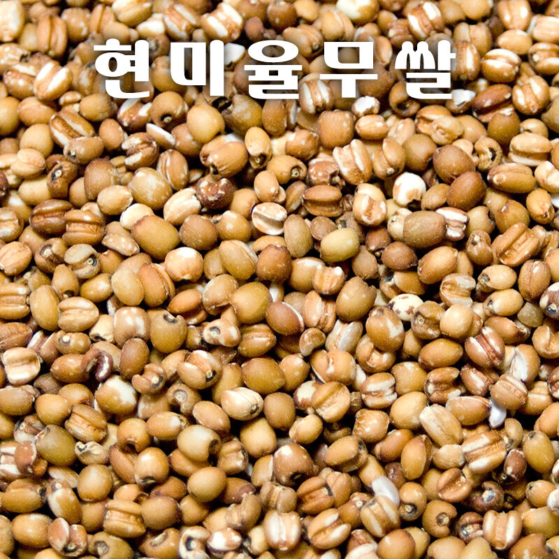 강원 뻥이오뻥쌀튀밥류현미율무 뻥튀기/ 율무현미 튀밥국내산 1kg 2kg  