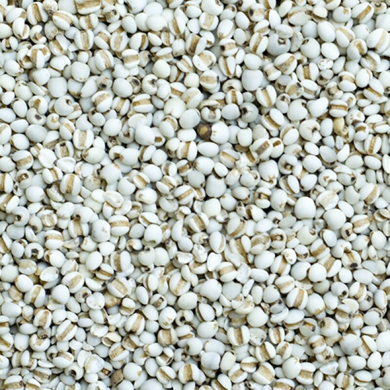 강원 뻥이오뻥쌀튀밥류율무뻥튀기국내산 1kg/2kg  