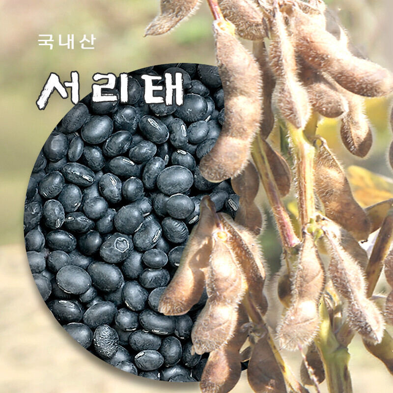 강원 뻥이오뻥농산물/기타 잡곡서리태/국내산 검은콩 잡곡500g/1kg선택  