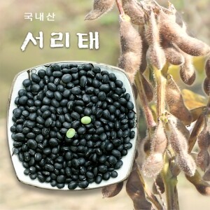 서리태/국내산 검은콩 잡곡