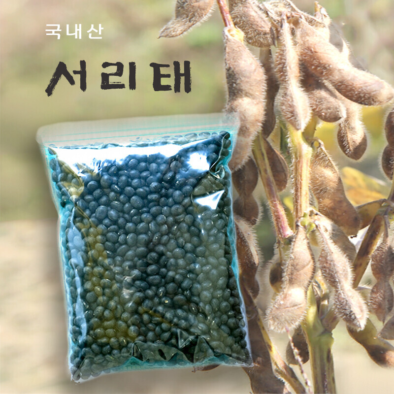 강원 뻥이오뻥농산물/기타 잡곡서리태/국내산 검은콩 잡곡500g/1kg선택  