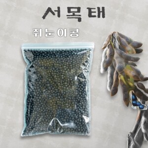 쥐눈이콩/약콩,국내산