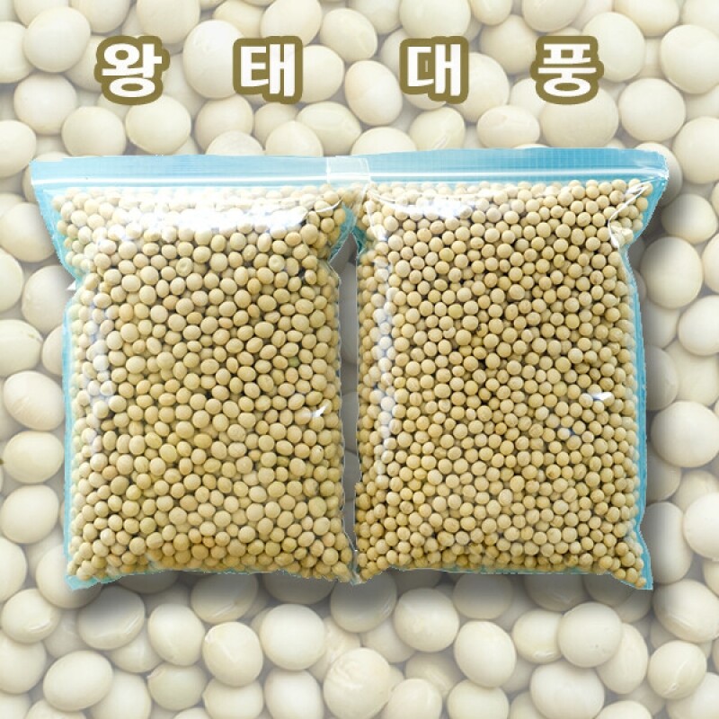 강원 뻥이오뻥농산물/기타 잡곡국내산 백태/왕태500g/1kg선택(직접 농사지은 알이 좋아요)  