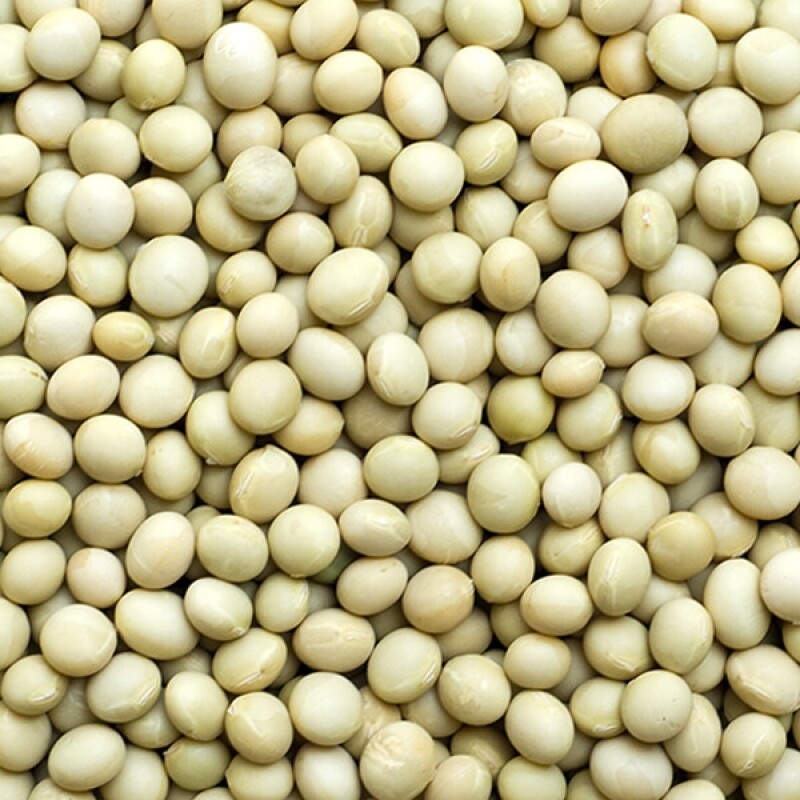 강원 뻥이오뻥농산물/기타 잡곡국내산 백태/왕태500g/1kg선택(직접 농사지은 알이 좋아요)  