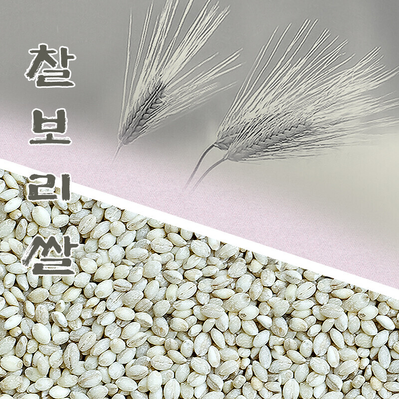 강원 뻥이오뻥농산물/기타 잡곡찰보리/ 보리잡곡 국내산중량선택하세요  