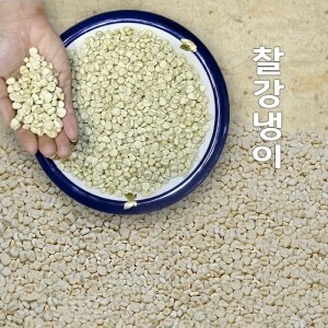 강원도 찰옥수수알/말린 찰강냉이 잡곡